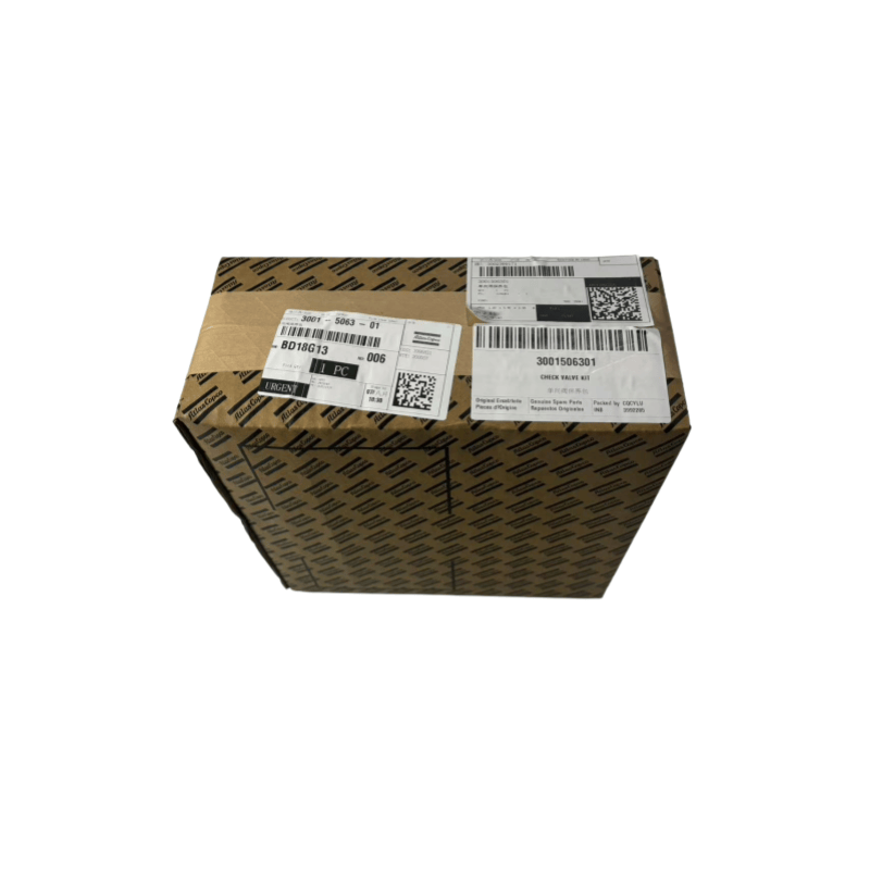 Originalni 3001506301 Atlas Copco Oil Free Conpressors Check ventil komplet